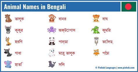 mammals meaning in bengali|mammal in bengali.